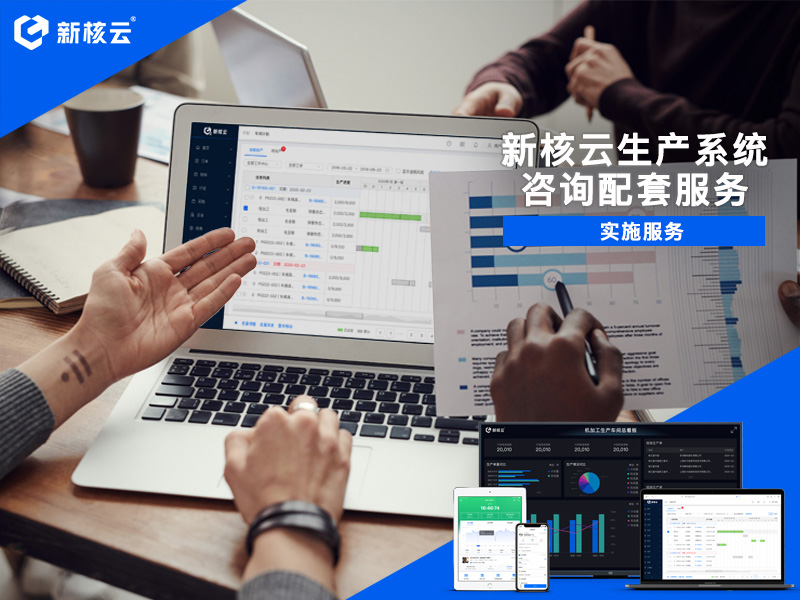 新核云生产系统咨询配套服务-1