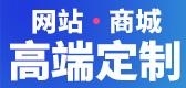 高端网站建设【深度网站定制】企业网站设计开发-1