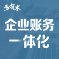 企业账务一体化