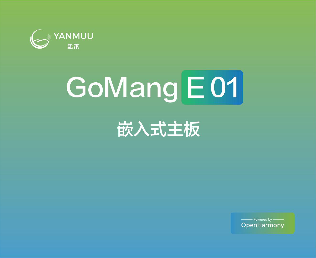 GoMang E01 OpenHarmony开源鸿蒙AI嵌入式主板-1