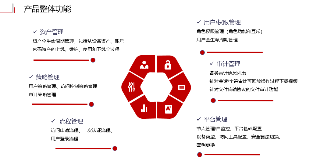 派拉零信任特权访问管理软件配套服务(HCS版)-1