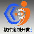 软件定制开发人工服务