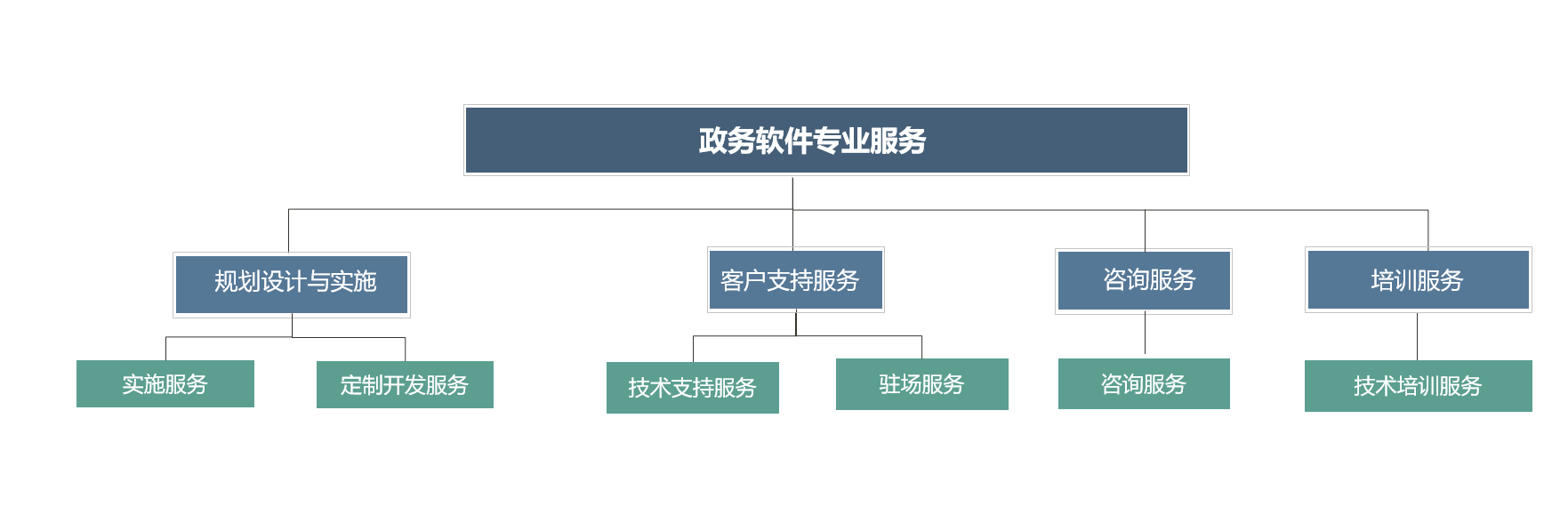 政务软件专业服务-1