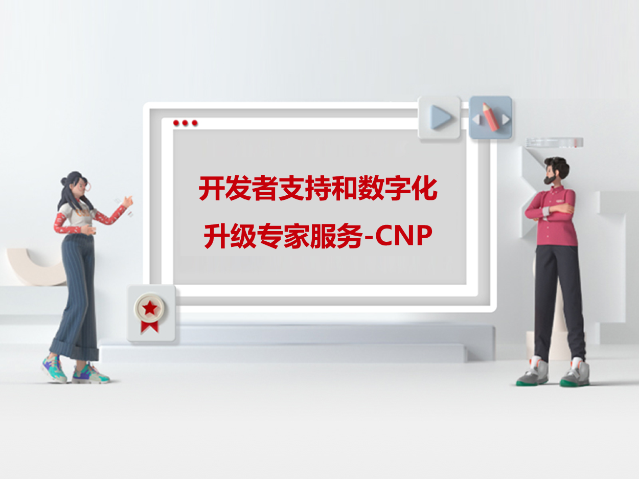 开发者支持和数字化升级专家服务-CNP-1