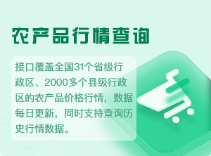农产品行情查询-2