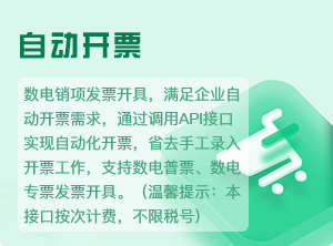 企业开票接口-全电发票开具-数电发票开票-批量开票接口-自动开票接口-电子专票接口-二维码开票-2